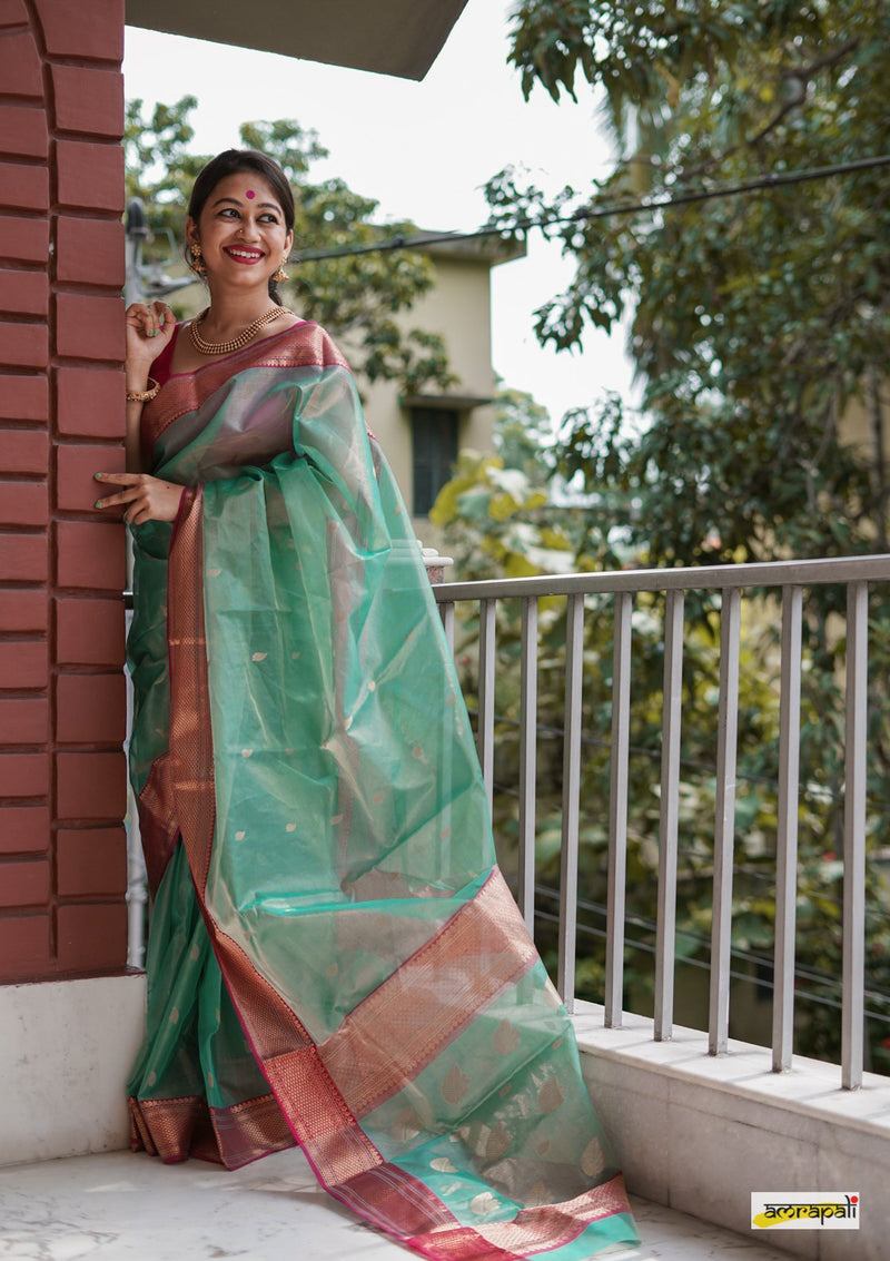 Handloom Chanderi Tissue Silk