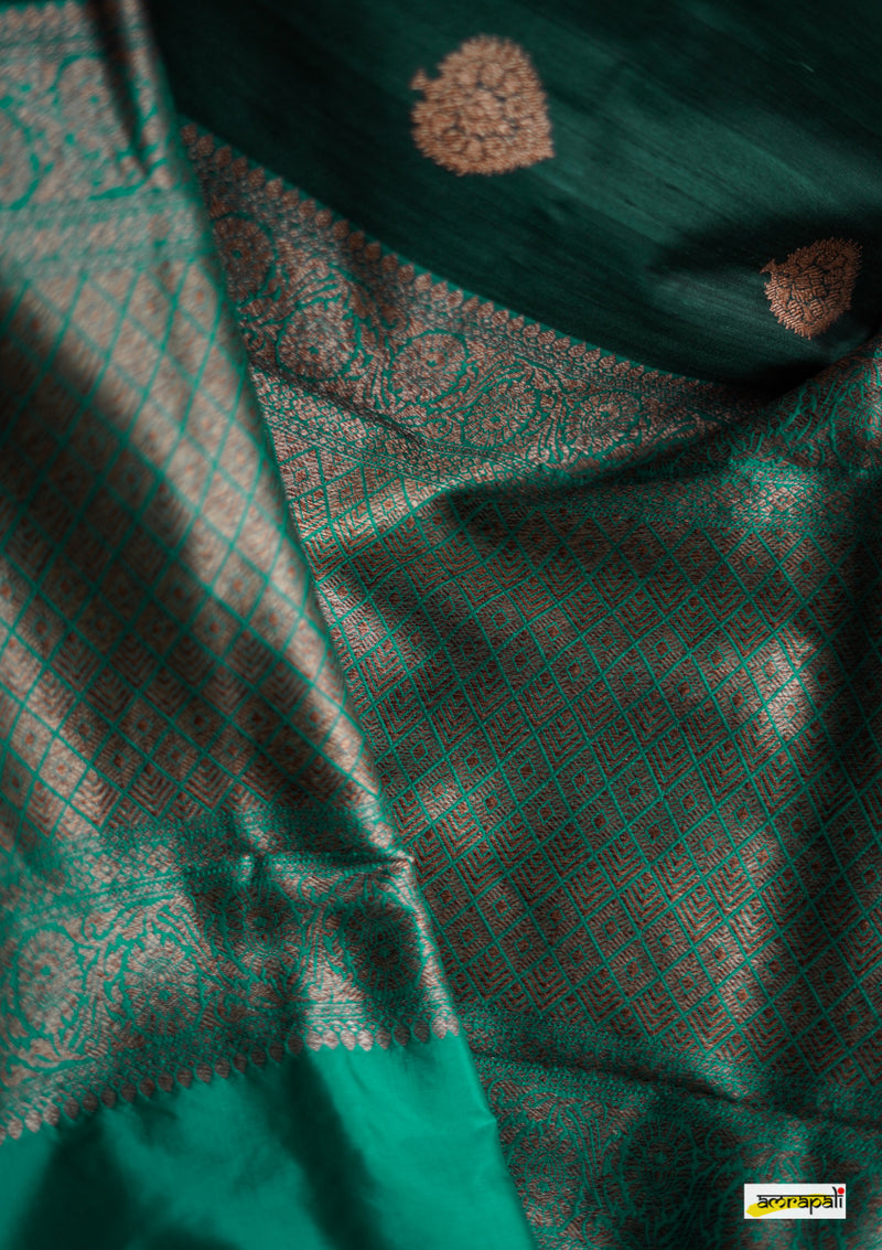 Handwoven Pure Tussar Benarasi